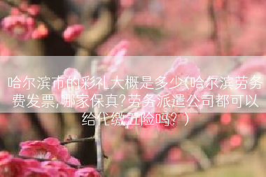 哈尔滨市的彩礼大概是多少(哈尔滨劳务费发票,哪家保真?劳务派遣公司都可以给代缴五险吗？)