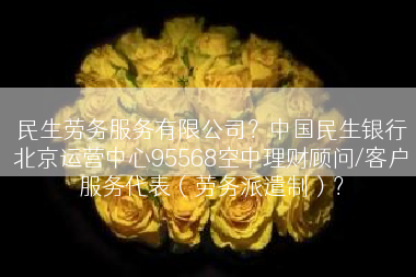 民生劳务服务有限公司？中国民生银行北京运营中心95568空中理财顾问/客户服务代表（劳务派遣制）？