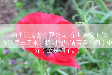 上海企浪劳务有限公司(在上海找工作，在这里三天来，找到的所谓劳务公司（中介）全是骗子。)