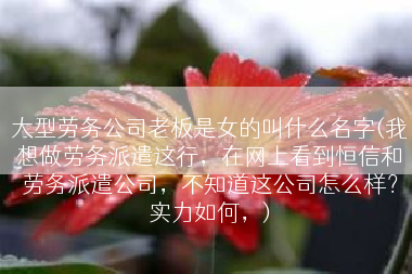 大型劳务公司老板是女的叫什么名字(我想做劳务派遣这行，在网上看到恒信和劳务派遣公司，不知道这公司怎么样？实力如何，)