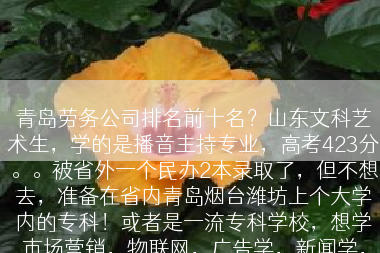 青岛劳务公司排名前十名？山东文科艺术生，学的是播音主持专业，高考423分。。被省外一个民办2本录取了，但不想去，准备在省内青岛烟台潍坊上个大学内的专科！或者是一流专科学校，想学市场营销，物联网，广告学，新闻学，经济类专业。。。请问各位有哪些学校适合我？、、QQ331812689？