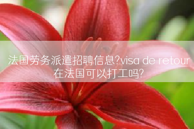 法国劳务派遣招聘信息?visa de retour在法国可以打工吗?
