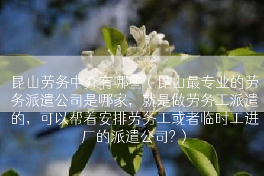 昆山劳务中介有哪些（昆山最专业的劳务派遣公司是哪家，就是做劳务工派遣的，可以帮着安排劳务工或者临时工进厂的派遣公司?）