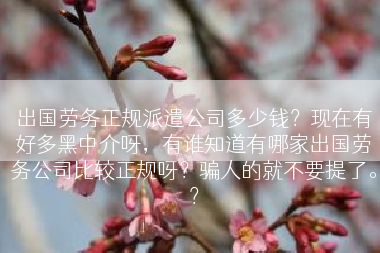 出国劳务正规派遣公司多少钱？现在有好多黑中介呀，有谁知道有哪家出国劳务公司比较正规呀？骗人的就不要提了。？