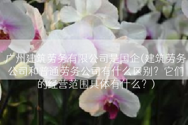 广州建筑劳务有限公司是国企(建筑劳务公司和普通劳务公司有什么区别？它们的经营范围具体有什么？)