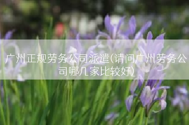 广州正规劳务公司派遣(请问广州劳务公司哪几家比较好)