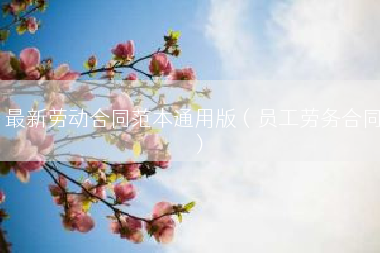 最新劳动合同范本通用版（员工劳务合同）