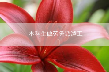 本科生做劳务派遣工