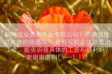 四川宜众劳务开发有限公司？你知道住总具体的待遇吗？ 我有可能去住总集团工作，能告诉我具体的工资和福利吗？谢谢谢谢啊！~~~！！？