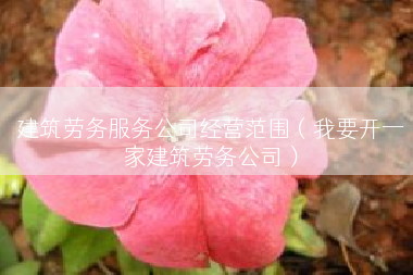 建筑劳务服务公司经营范围（我要开一家建筑劳务公司）
