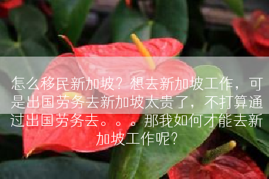 怎么移民新加坡？想去新加坡工作，可是出国劳务去新加坡太贵了，不打算通过出国劳务去。。。那我如何才能去新加坡工作呢？