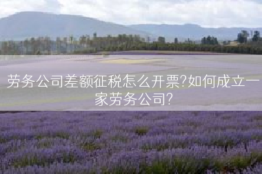 劳务公司差额征税怎么开票?如何成立一家劳务公司?