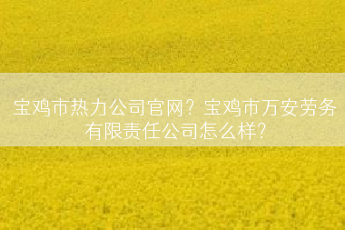 宝鸡市热力公司官网？宝鸡市万安劳务有限责任公司怎么样？