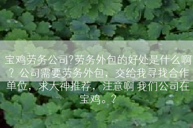 宝鸡劳务公司?劳务外包的好处是什么啊？公司需要劳务外包，交给我寻找合作单位，求大神推荐，注意啊 我们公司在宝鸡。?
