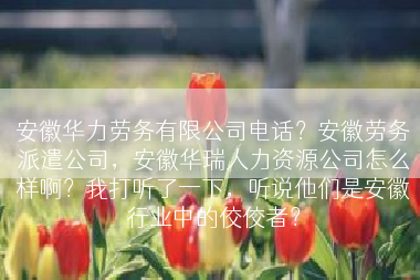 安徽华力劳务有限公司电话？安徽劳务派遣公司，安徽华瑞人力资源公司怎么样啊？我打听了一下，听说他们是安徽行业中的佼佼者？