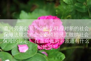 嘉兴劳务公司？企业怎样应对新的社会保障法规定的企业必须给员工缴纳社会保险的规定？ 在嘉兴做劳务派遣有什么好处吗？