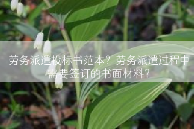 劳务派遣投标书范本？劳务派遣过程中需要签订的书面材料？