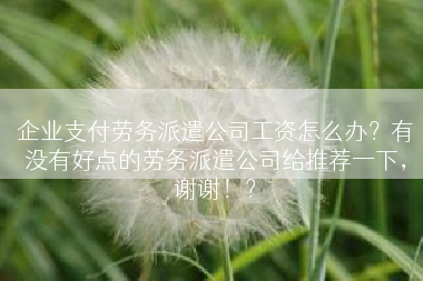 企业支付劳务派遣公司工资怎么办？有没有好点的劳务派遣公司给推荐一下，谢谢！？