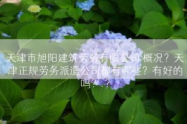天津市旭阳建筑劳务有限公司 概况？天津正规劳务派遣公司都有哪些？有好的吗？.？