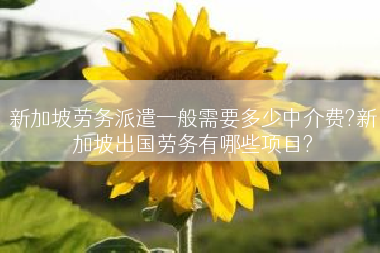 新加坡劳务派遣一般需要多少中介费?新加坡出国劳务有哪些项目?