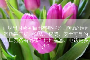 正规出国劳务输出有哪些公司可靠?请问宿迁最正规、合法、权威、安全可靠的出国劳务有哪家？地址在哪、电话是多少?