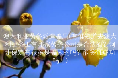 澳大利亚劳务派遣骗局(有谁知道去澳大利亚务工有哪家劳务公司是合法的？河北保定有很多是骗人的吗？能签证成功吗？)