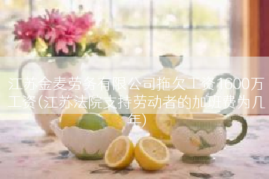 江苏金麦劳务有限公司拖欠工资1600万工资(江苏法院支持劳动者的加班费为几年)