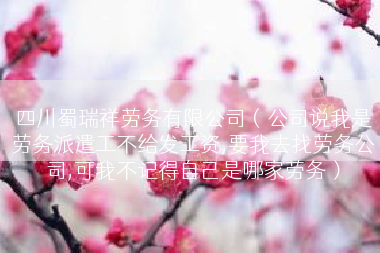 四川蜀瑞祥劳务有限公司（公司说我是劳务派遣工不给发工资,要我去找劳务公司,可我不记得自己是哪家劳务）
