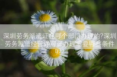 深圳劳务派遣证在哪个部门办理的?深圳劳务派遣经营许可证办理需要哪些条件呢?
