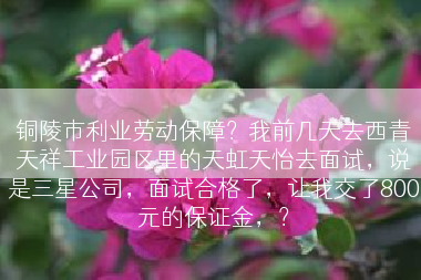 铜陵市利业劳动保障？我前几天去西青天祥工业园区里的天虹天怡去面试，说是三星公司，面试合格了，让我交了800元的保证金，？