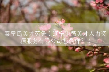 秦皇岛英才劳务（辽宁中智英才人力资源服务有限公司怎么样？）