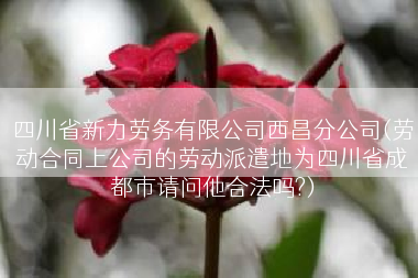 四川省新力劳务有限公司西昌分公司(劳动合同上公司的劳动派遣地为四川省成都市请问他合法吗?)
