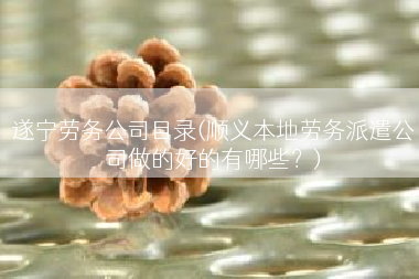 遂宁劳务公司目录(顺义本地劳务派遣公司做的好的有哪些？)