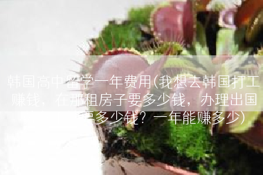 韩国高中留学一年费用(我想去韩国打工赚钱，在那租房子要多少钱，办理出国劳务手续要多少钱？一年能赚多少)
