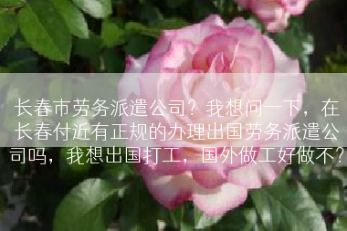 长春市劳务派遣公司？我想问一下，在长春付近有正规的办理出国劳务派遣公司吗，我想出国打工，国外做工好做不？