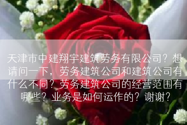 天津市中建翔宇建筑劳务有限公司？想请问一下，劳务建筑公司和建筑公司有什么不同？劳务建筑公司的经营范围有哪些？业务是如何运作的？谢谢？