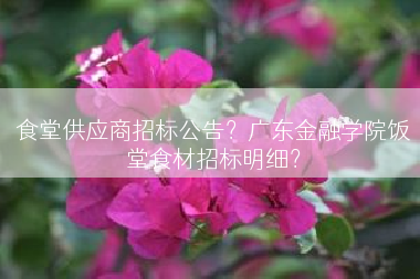 食堂供应商招标公告？广东金融学院饭堂食材招标明细？
