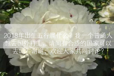 2018年出生五行属什么？我一个普通人想去国外打工，请问有合适的国家可以去吗？谢谢，欢迎大家共同讨论？
