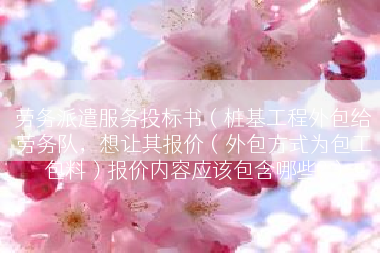 劳务派遣服务投标书（桩基工程外包给劳务队，想让其报价（外包方式为包工包料）报价内容应该包含哪些?）