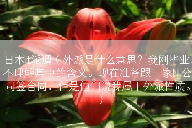日本it派遣（外派是什么意思？我刚毕业，不理解其中的含义。现在准备跟一家IT公司签合同，但是他们说我属于外派性质。）