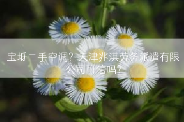 宝坻二手空调？天津兆淇劳务派遣有限公司可信吗？