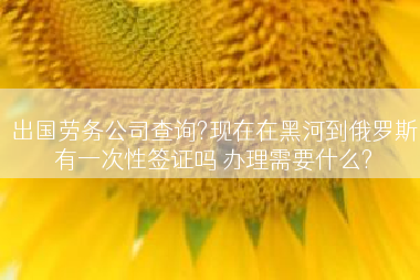 出国劳务公司查询?现在在黑河到俄罗斯有一次性签证吗 办理需要什么?