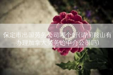 保定市出国劳务公司哪个好(请问鞍山有办理加拿大劳务的中介公司吗)