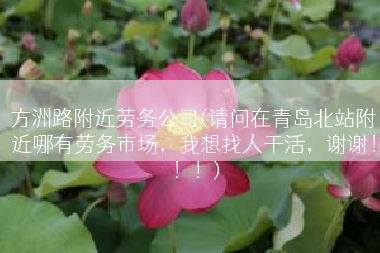 方洲路附近劳务公司(请问在青岛北站附近哪有劳务市场，我想找人干活，谢谢！！！)