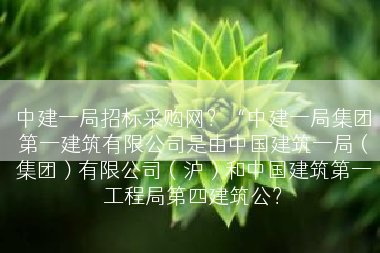 中建一局招标采购网？“中建一局集团第一建筑有限公司是由中国建筑一局（集团）有限公司（沪）和中国建筑第一工程局第四建筑公？