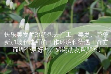快乐美发师3(我想去打工，美发，劳务新加坡和迪拜的工作环境和待遇工资方面哪个更好些，感谢朋友帮解答)
