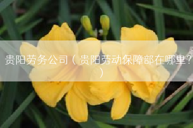 贵阳劳务公司（贵阳劳动保障部在哪里？）