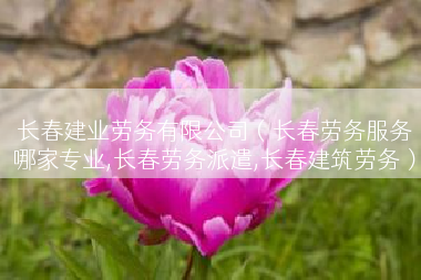 长春建业劳务有限公司（长春劳务服务哪家专业,长春劳务派遣,长春建筑劳务）