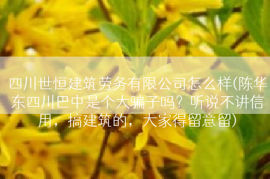 四川世恒建筑劳务有限公司怎么样(陈华东四川巴中是个大骗子吗？听说不讲信用，搞建筑的，大家得留意留)