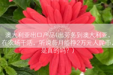 澳大利亚出口产品(出劳务到澳大利亚，在农场干活，听说每月能挣2万元人民币，是真的吗？)